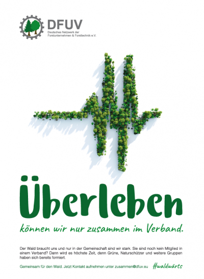 DFUV DFUV, forêt, vert